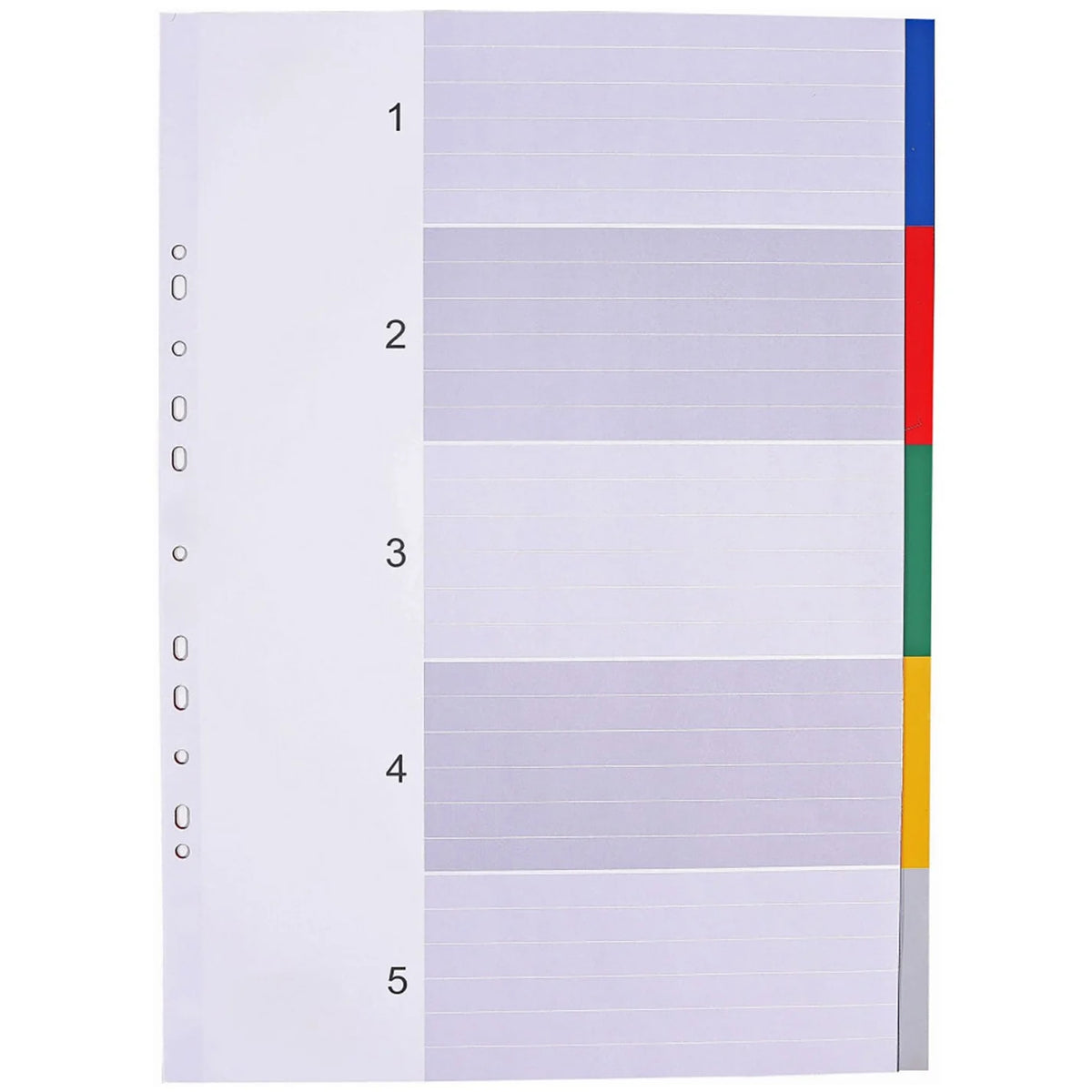 LANDS 6 Part PVC Dividers A4